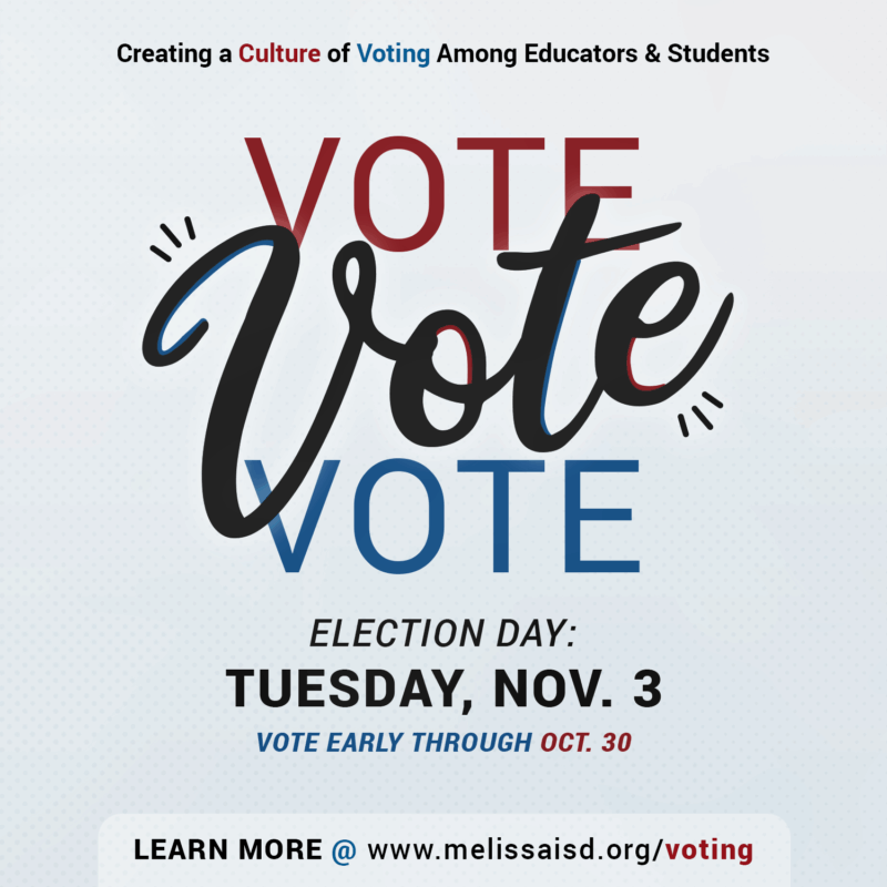 local voting information social media graphic - link opens image in full resolution